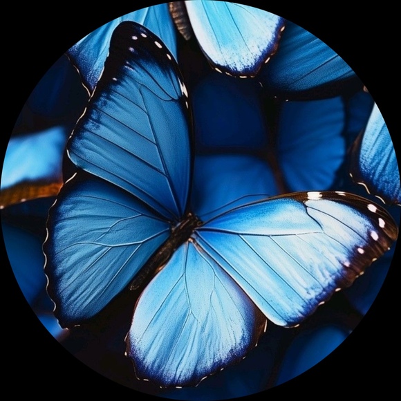 blue_butterfly_